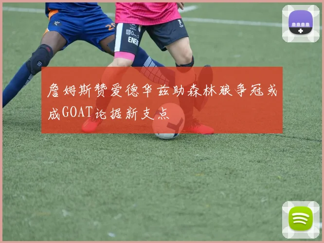 詹姆斯赞爱德华兹助森林狼争冠或成GOAT论据新支点